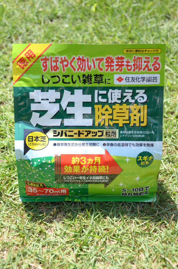 【2014年6月のTM9】だいぶ葉が緑色になってきました。 芝生の手入れがラク！TM9の芝生を植えた失敗＆成功体験