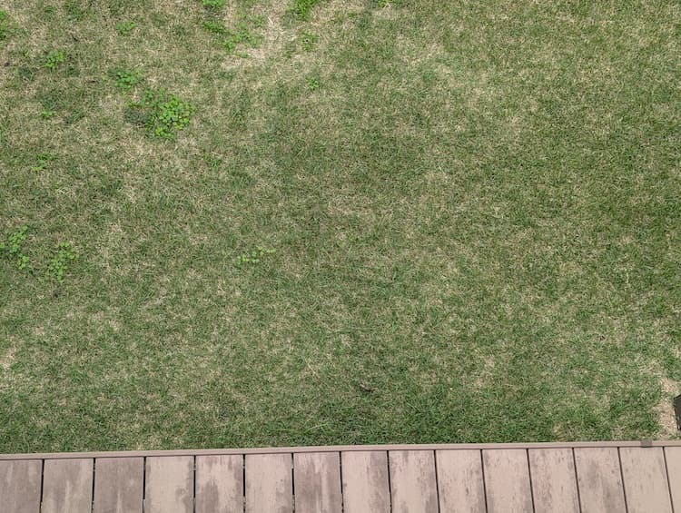 2025年10月のTM9その2