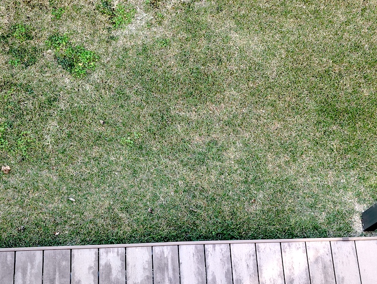 2025年11月のTM9その2