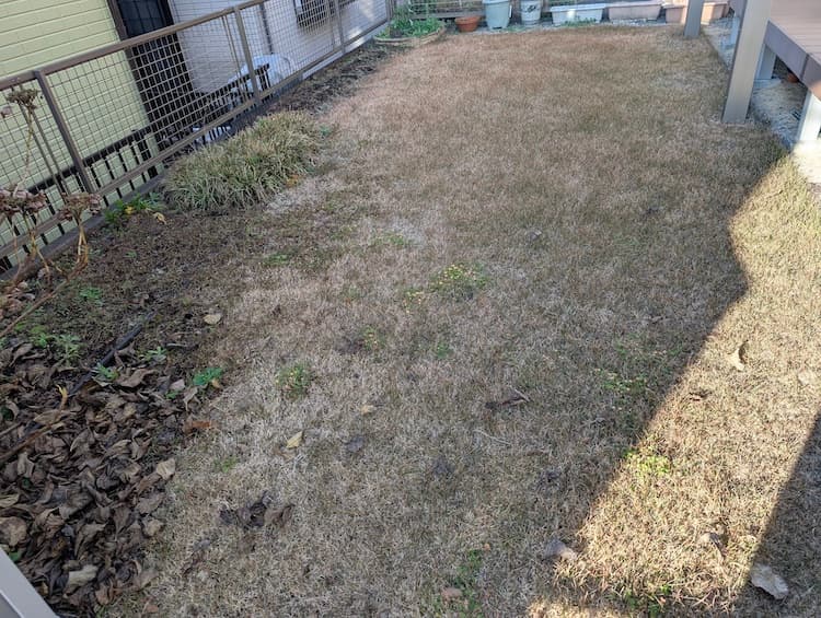 2025年12月のTM9その1