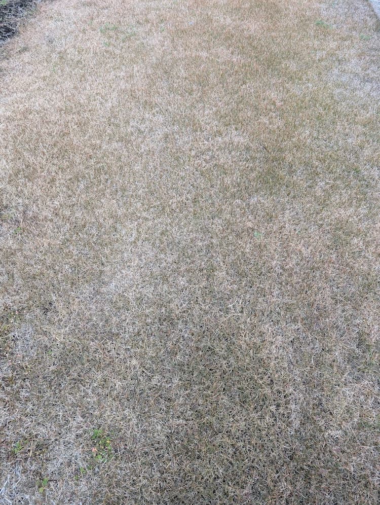 2025年12月のTM9その2