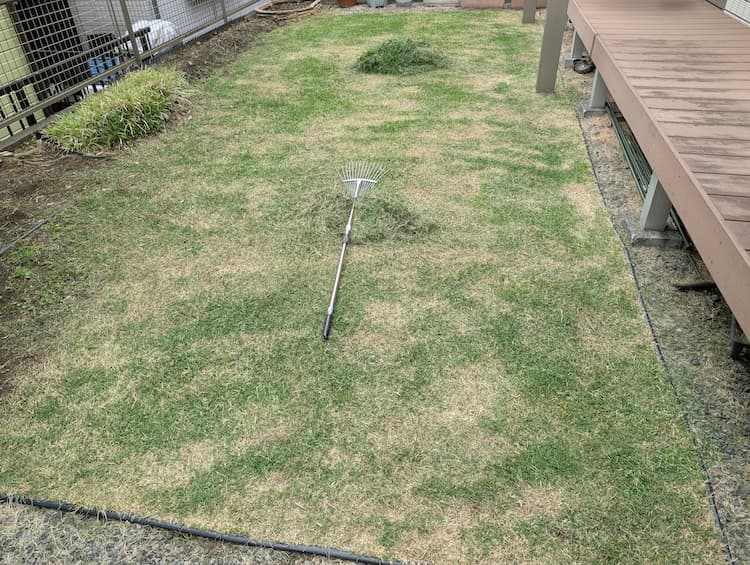 2025年5月のTM9芝刈り後の写真