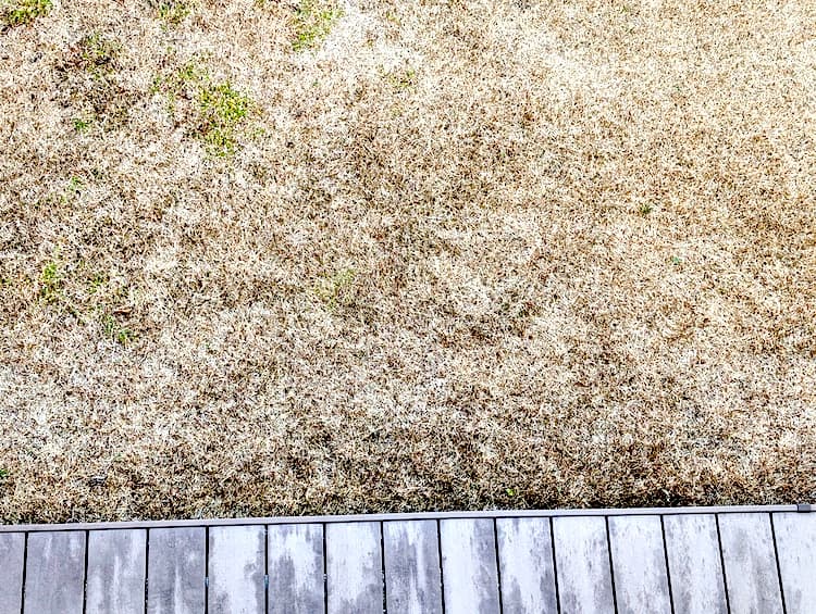 2026年1月のTM9その2