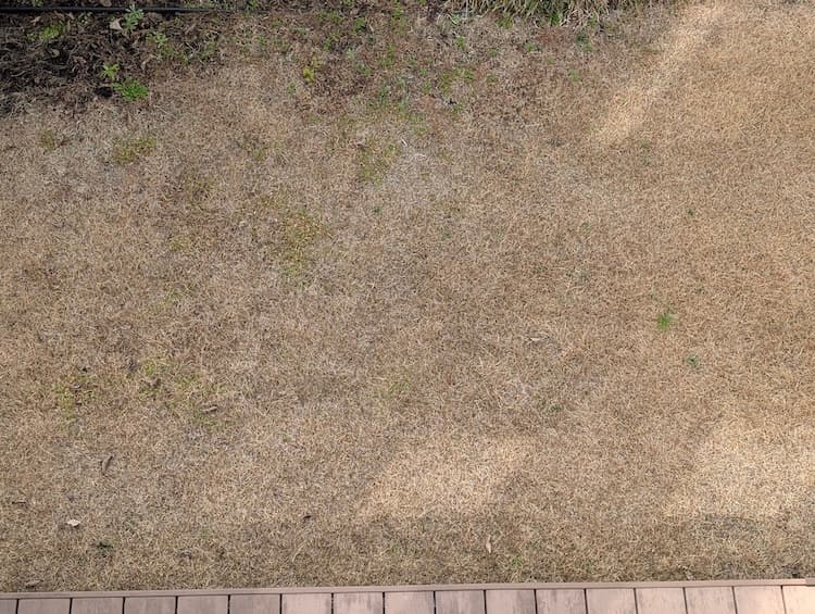 2026年2月のTM9その2