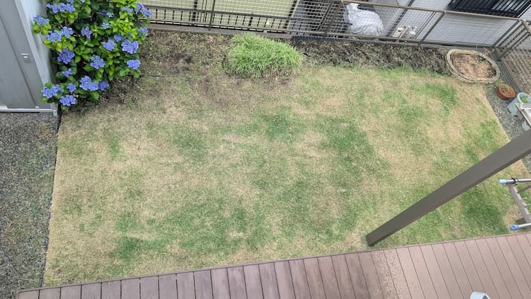 2026年6月11日のTM9の状況その1
